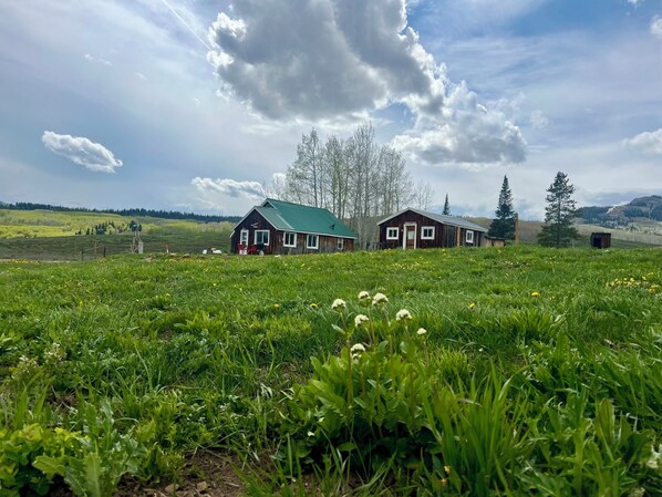 A rural landscape with two wooden cabins, a green field with wildflowers, and a clear sky.