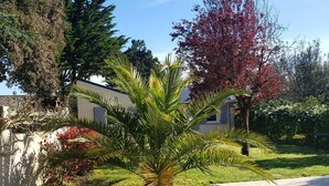 A paved walkway with a palm tree and red-leaved shrubbery. - La Baule beach 1.5 km away. Bright house sleeps 9, enclosed garden  (Guérande)