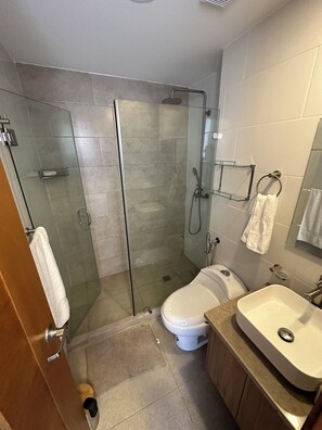 Shower, hair dryer, bidet, towels