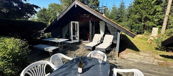 Unique forest cabin by the lake | Near Legoland & Lalandia