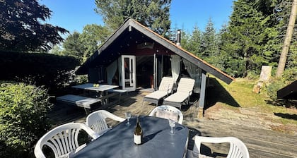 Unique forest cabin by the lake | Near Legoland & Lalandia