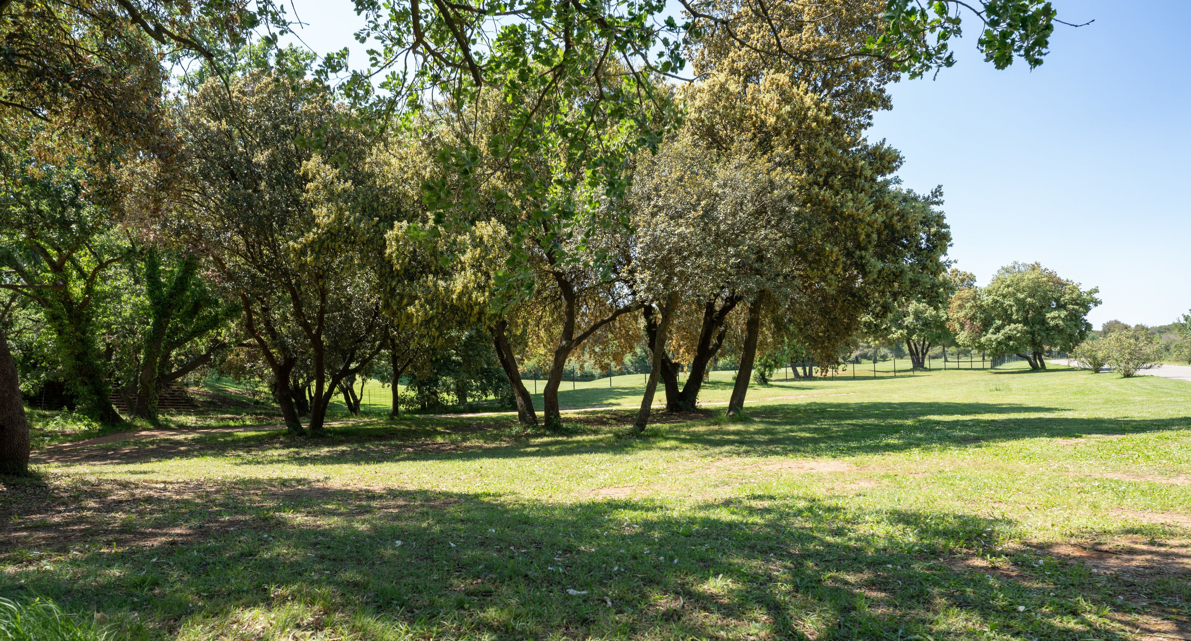 A park with a grassy area, trees, and a clear sky.