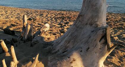 Relaxation and nature a stone's throw from the sea.Holiday home in the countryside of Presicce