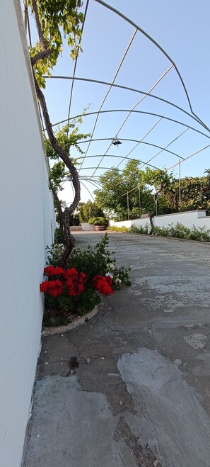 Parco della struttura