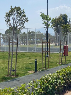 Terrain de sport