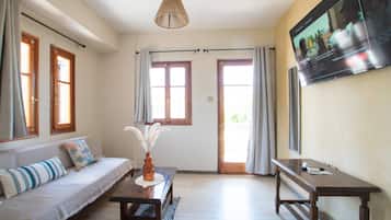 55-inch Smart TV with satellite channels