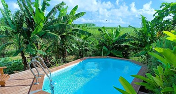 Una piscina rodeada de exuberante vegetación y palmeras de plátano.