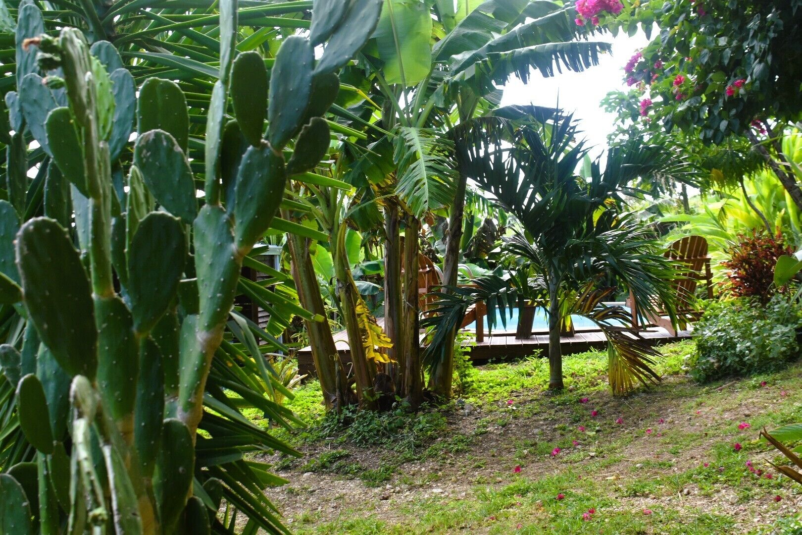 Comfort-Ferienhaus, Gartenblick | Blick auf den Garten