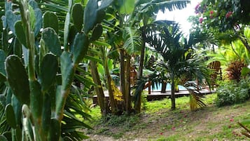 Comfort-Ferienhaus, Gartenblick | Blick auf den Garten