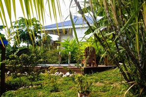 Exterior - kann Zananas (Anse-Bertrand)