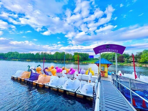 Luxury Downtown Crown Apartment minutes from DC