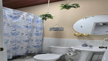 Hair dryer, towels, toilet paper