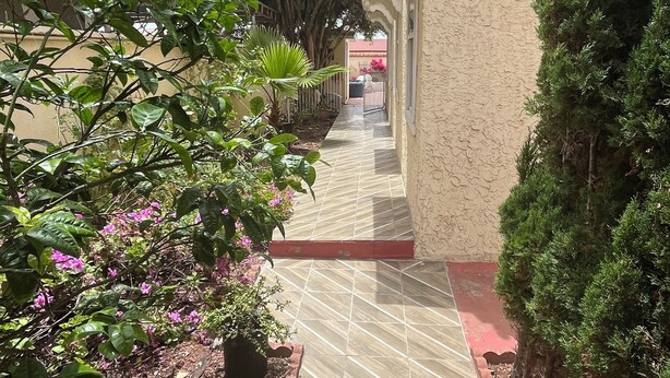 Un vialetto stretto, lastricato, affiancato da vegetazione rigogliosa e un edificio con facciata strutturata.