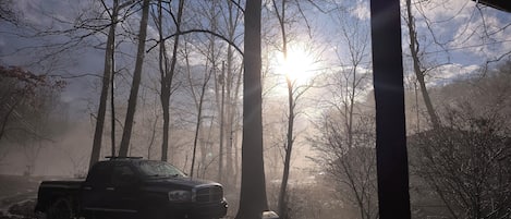 A truck parked in a forested area with sunlight filtering through the trees.
