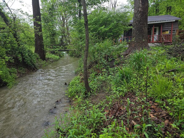 Property grounds - Cozy cabin in peaceful Glouster with WiFi, AC,  Very Quiet in a beautiful area. (Glouster)