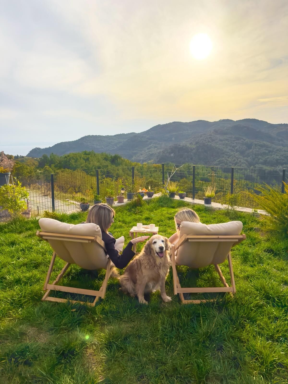 Vista frontal de la propiedad