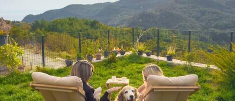 Two people seated on lawn chairs facing a dog, with a scenic view of hills and a fence in the background.