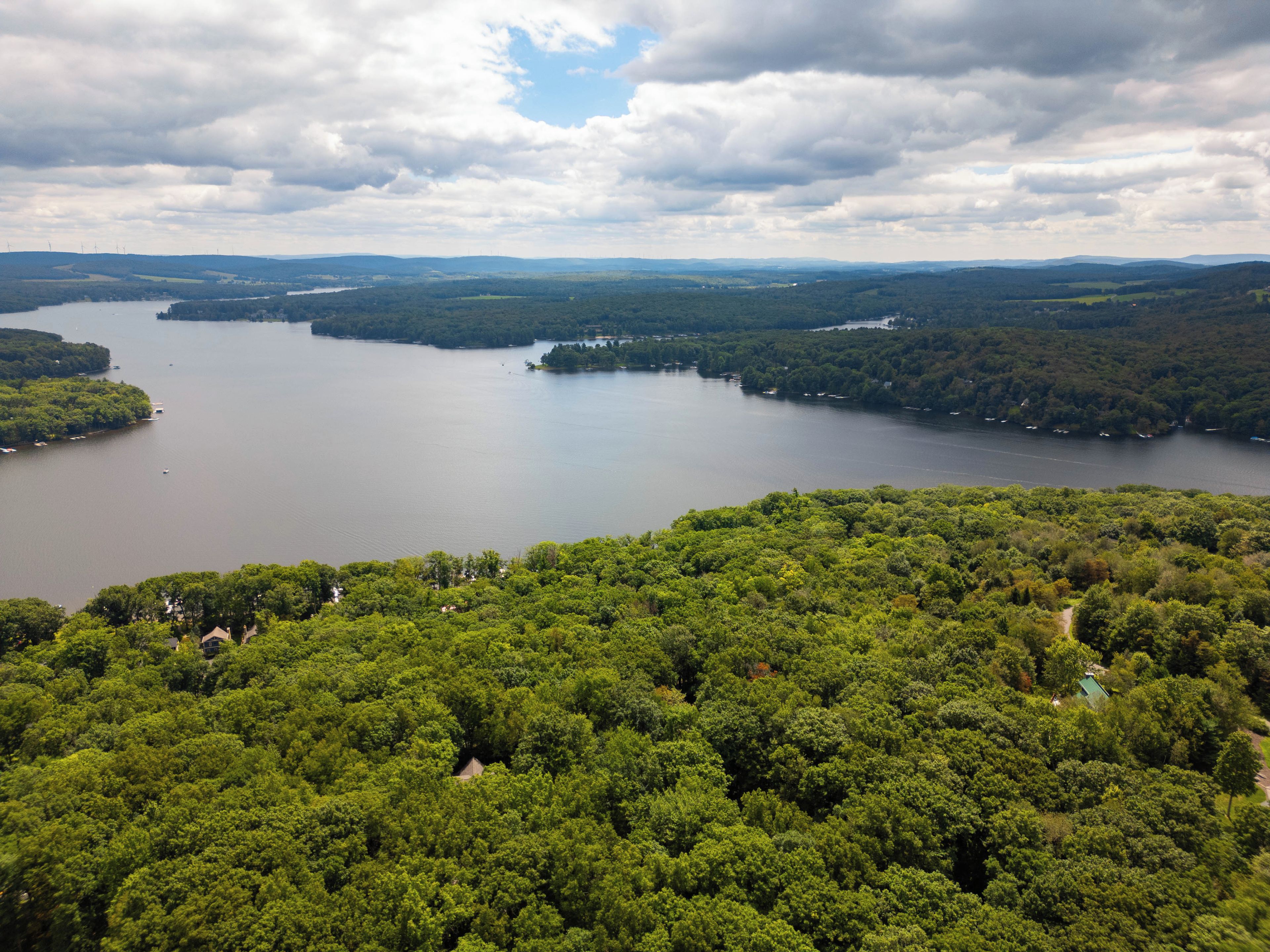 A lake surrounded by dense forest with a clear sky above.