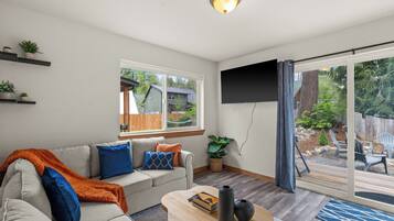 Smart TV, fireplace, books