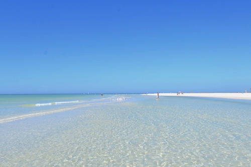 NEW LISTING! | Ocean-views, Walk 1-Min Beach & Village, Private Balconies Hot-tub Deck & Elevator!