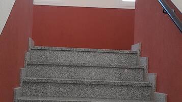 Parte interna