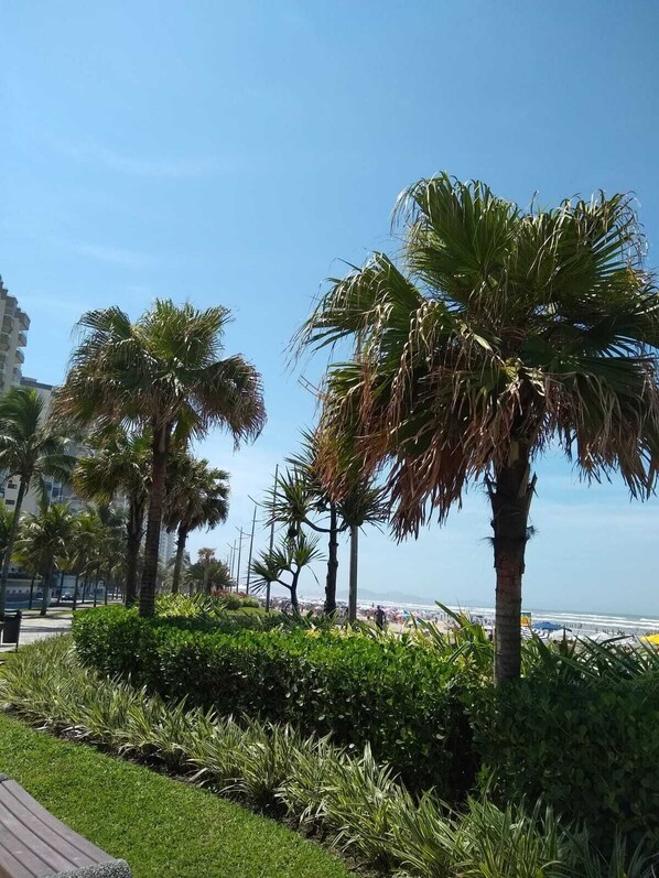 Property grounds - Apartment facing the sea in Vila Caiçara (Vila Caiçara Praia Grande)