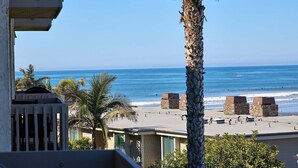 A beach view with palm trees, a clear sky, and a calm sea.