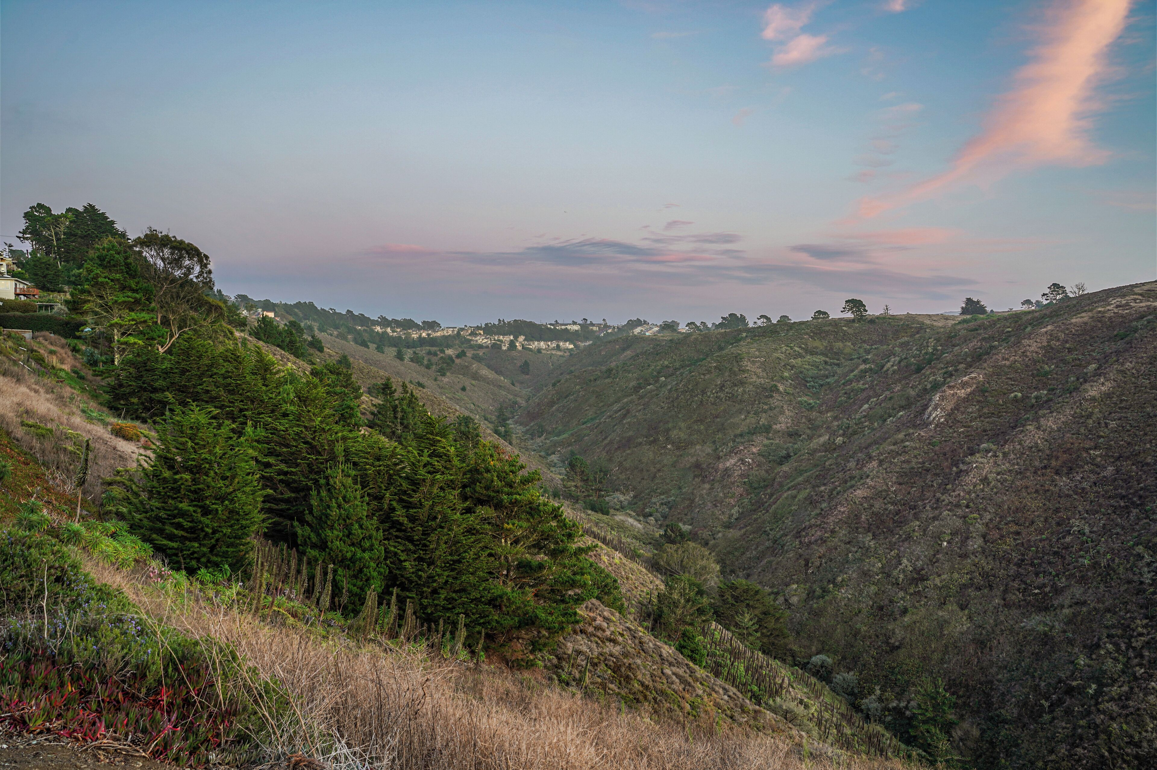 A valley with dense greenery and hills.