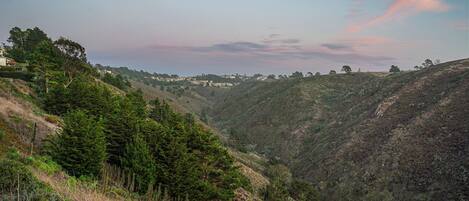 A valley with dense greenery and hills.