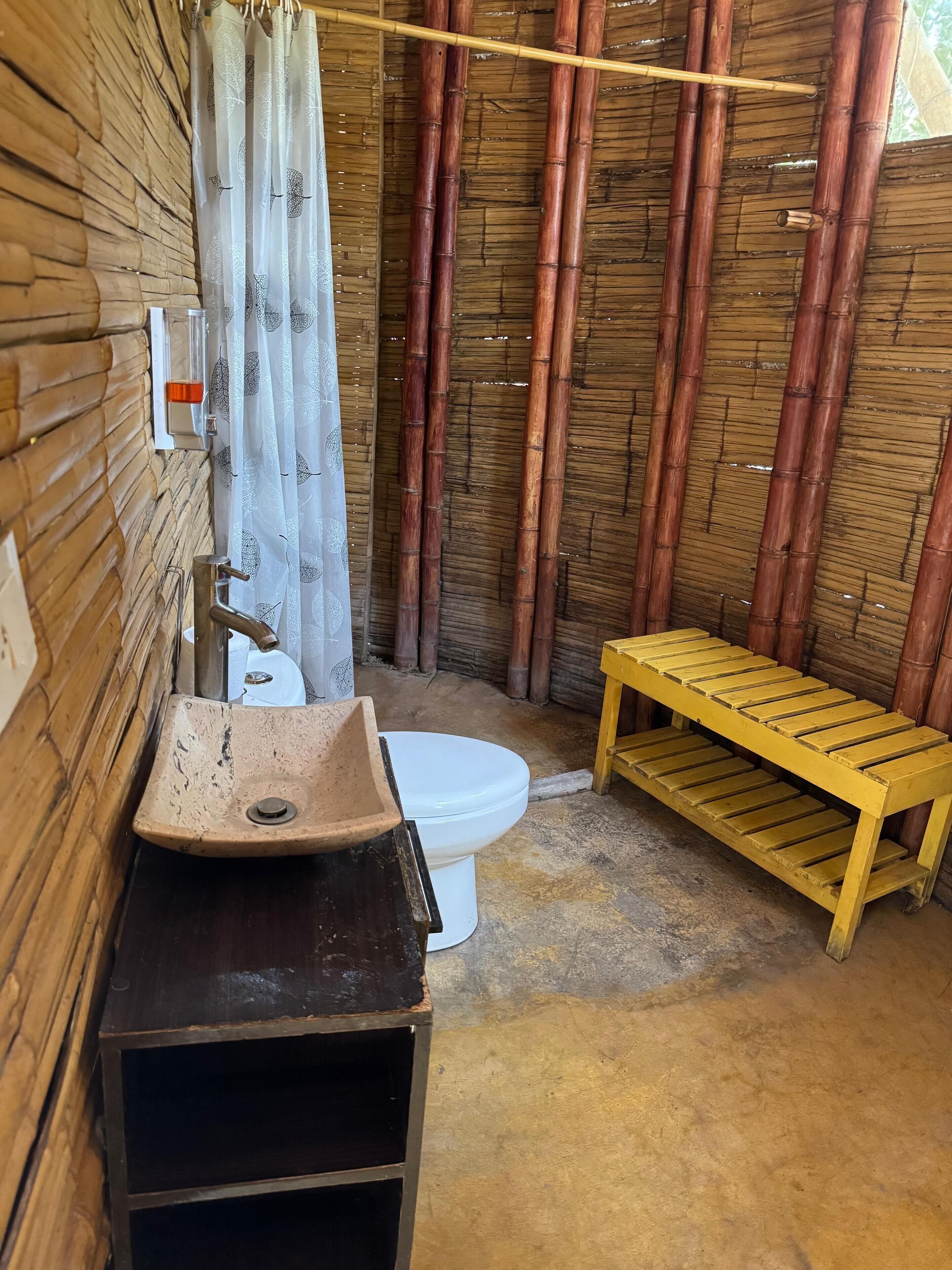 Shower, towels, soap, toilet paper