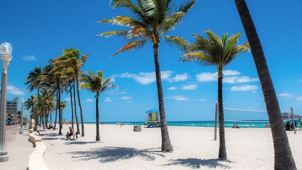 A beach with palm trees, a volleyball net, and a lifeguard tower. - Seabreeze Suite Studio on Hollywood Beach (Hollywood)