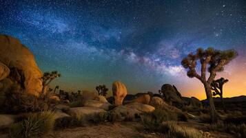 Paisaje desértico con árboles de Josué y grandes rocas bajo un cielo estrellado.