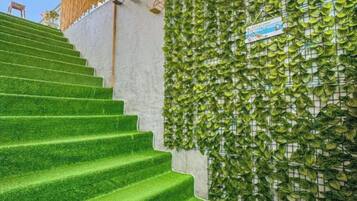 Deluxe-dobbeltværelse - strandudsigt | Terrasse/gårdhave