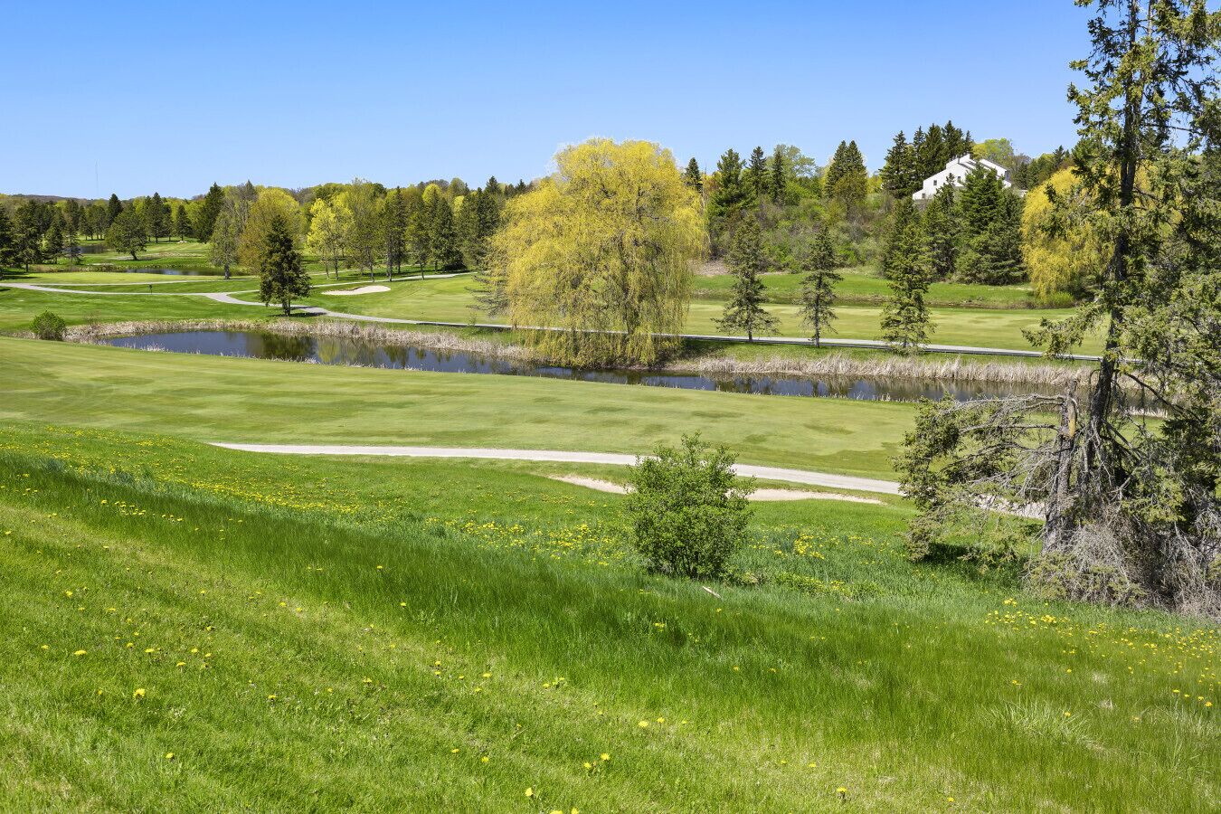 A golf course with a pond, sand bunkers, and a variety of trees.