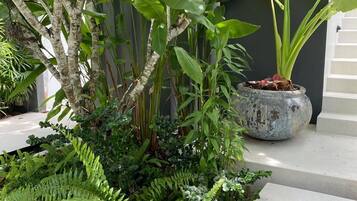 Un jardin luxuriant, avec une variété de plantes, notamment des fougères et des feuilles larges, ainsi qu’un escalier en béton.