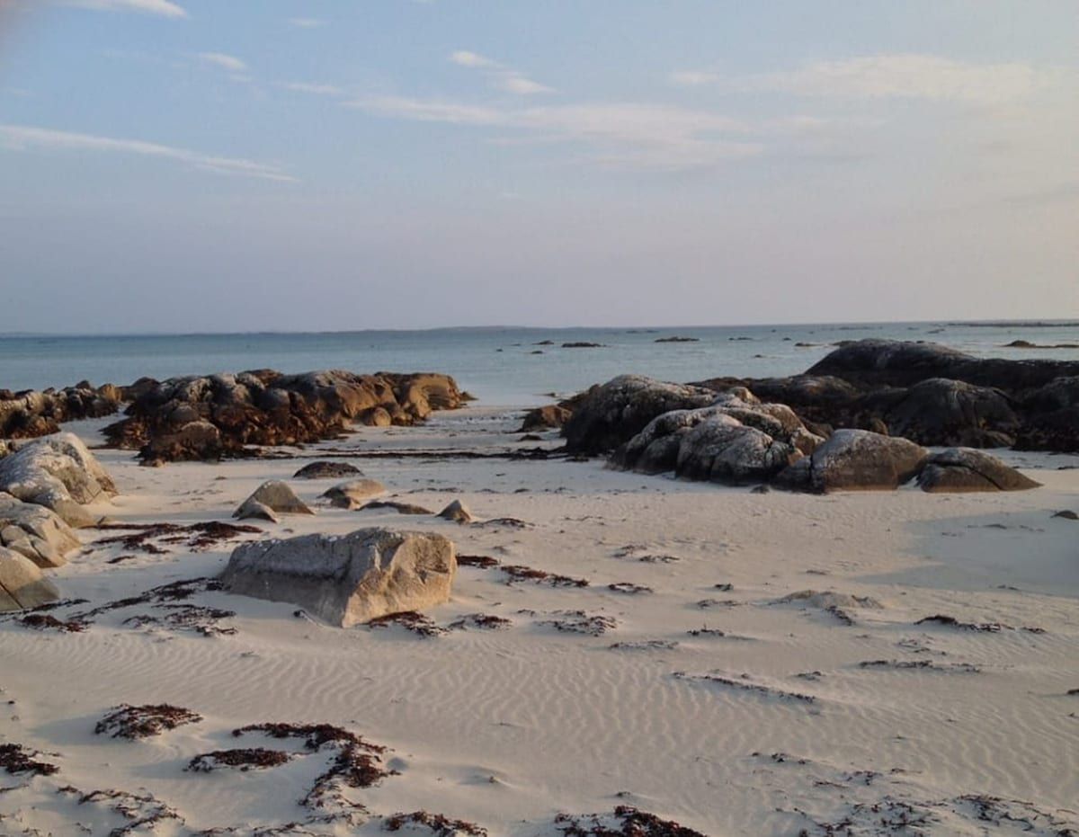 A beach with large rocks and seaweed, leading to the sea.