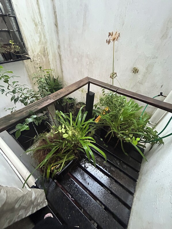 Interior - Urban loft 01 (Centro Pelotas)