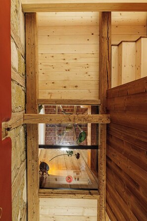 Bàn bóng bàn, đồ chơi, sách 