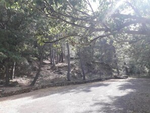 Miscellaneous - Renovated apartment in quiet country house with view of the Cevennes mountains (Portes)