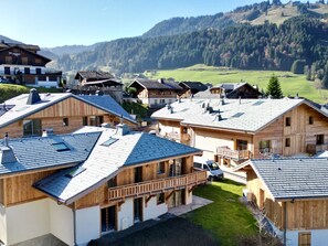 Unclassified image, 5 of 16, button - Morzine (Morzine)