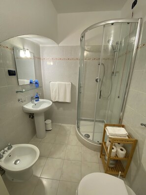 Shower, hair dryer, bidet, towels