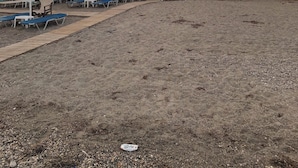 Uma área de praia com espreguiçadeiras e guarda-sóis, um calçadão de madeira e um edifício com varandas ao fundo.