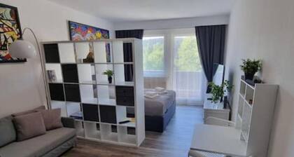 Small cozy apartment with balcony in a central location