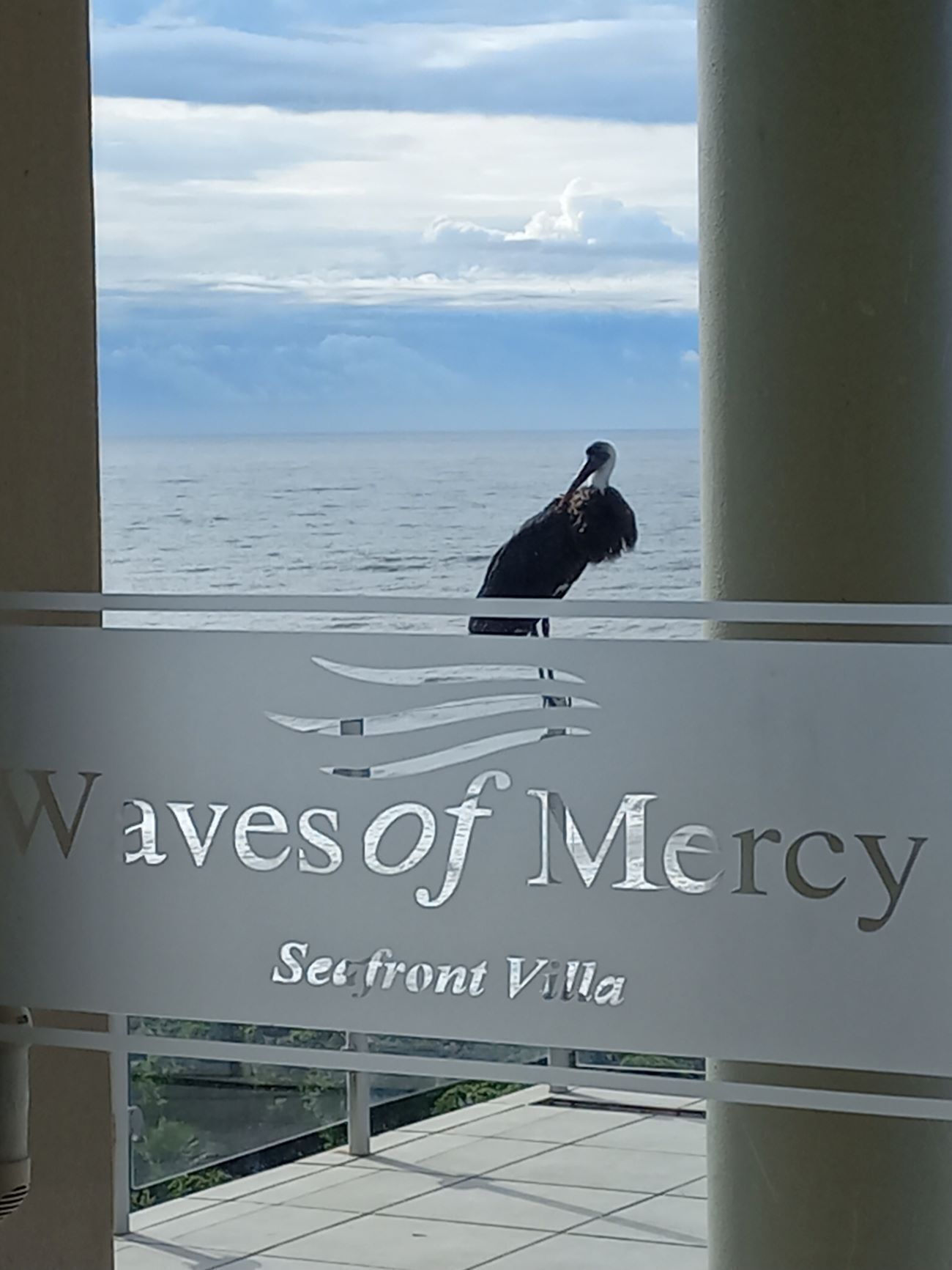 Une enseigne indiquant l’emplacement de la villa Waves of Mercy Setfront, avec un oiseau perché sur une balustrade.