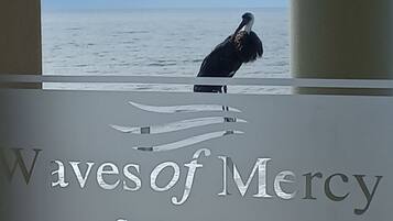 Une enseigne indiquant l’emplacement de la villa Waves of Mercy Setfront, avec un oiseau perché sur une balustrade.