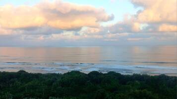 A swimming pool with a view of the ocean and a forested area.