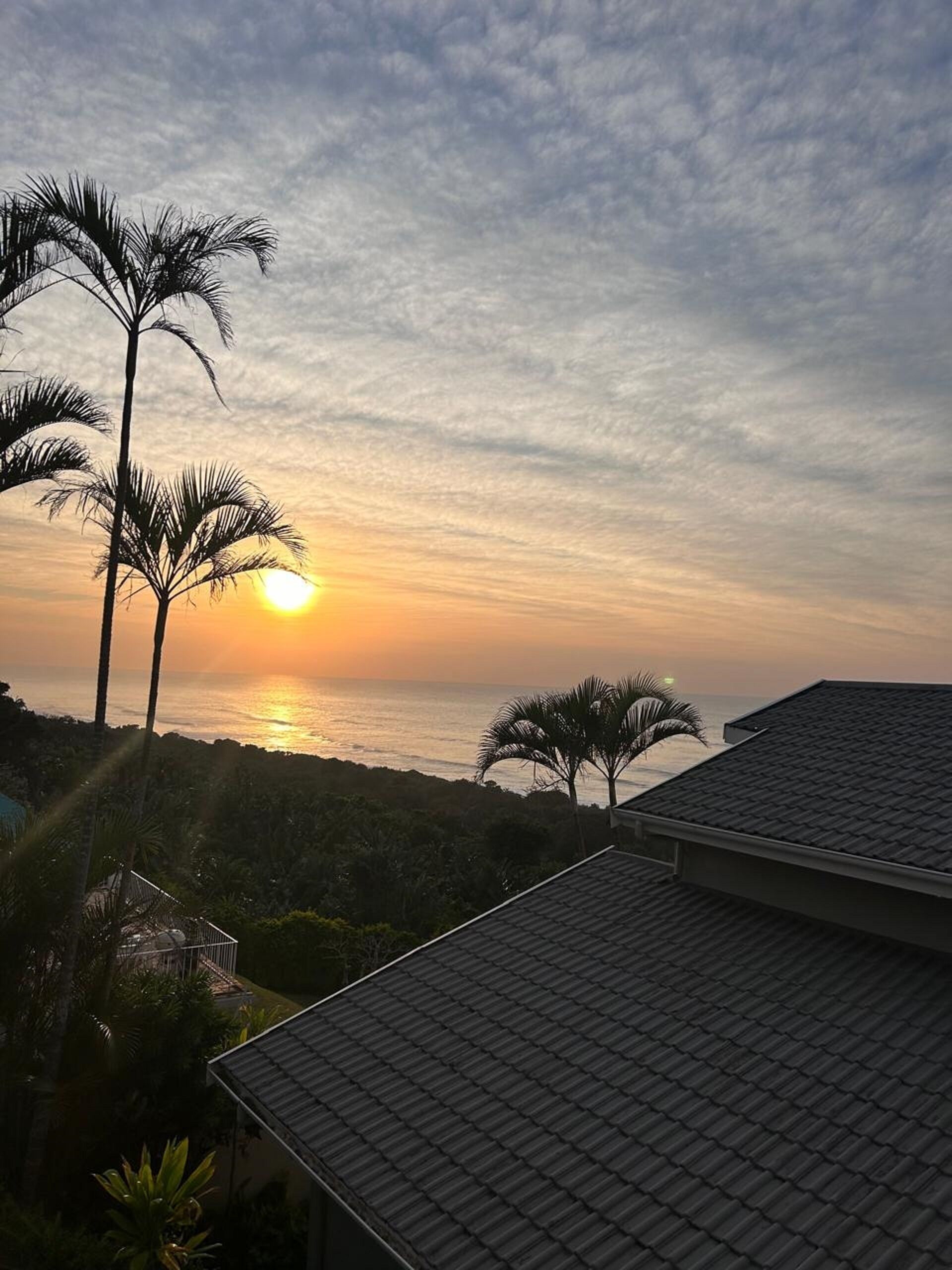 A sunset view from a building with a tiled roof, palm trees, and a body of water in the background.