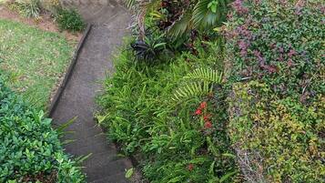 A stone pathway surrounded by lush greenery and various plants.