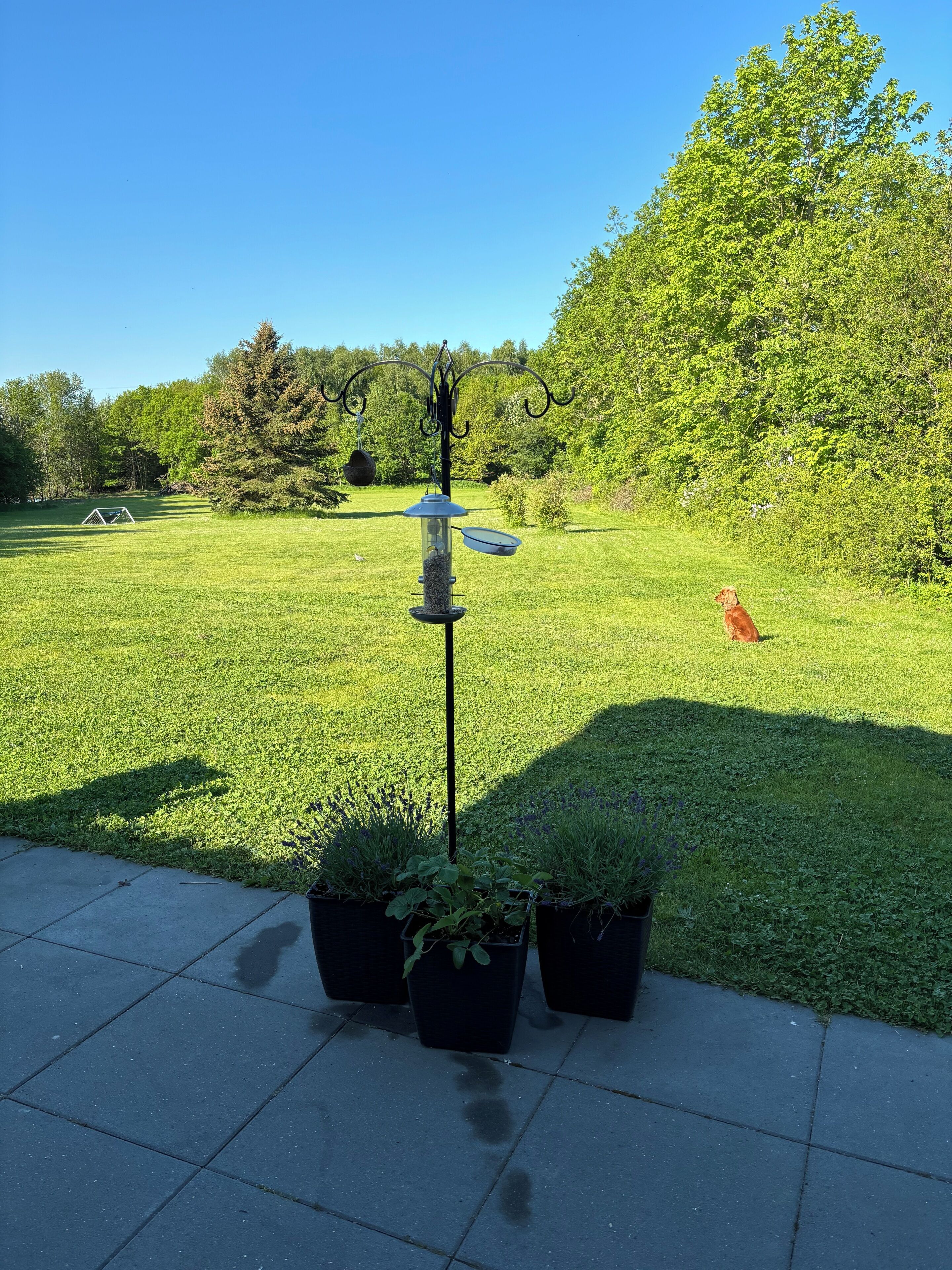 Enceinte de l’hébergement