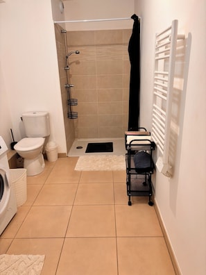 Dusche, Haartrockner, HandtĂŒcher, Toilettenpapier